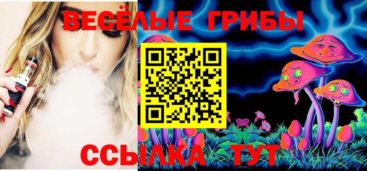 Карпинск  Галлюциногенные грибы прущие грибы  Вход с VPN 