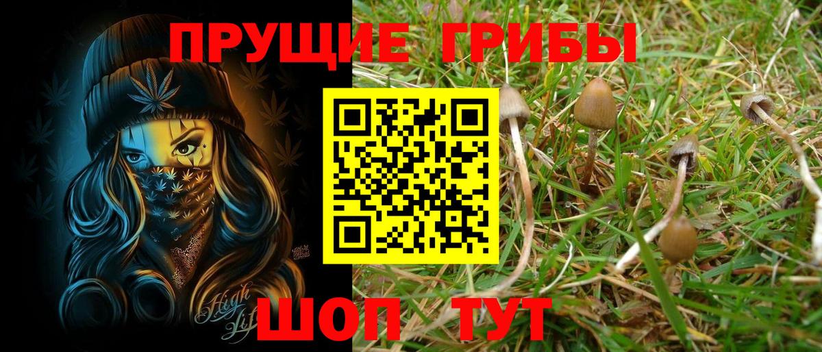 Псилоцибиновые грибы GOLDEN TEACHER Карпинск